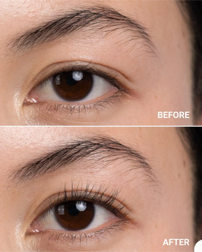 Eyelash Curler